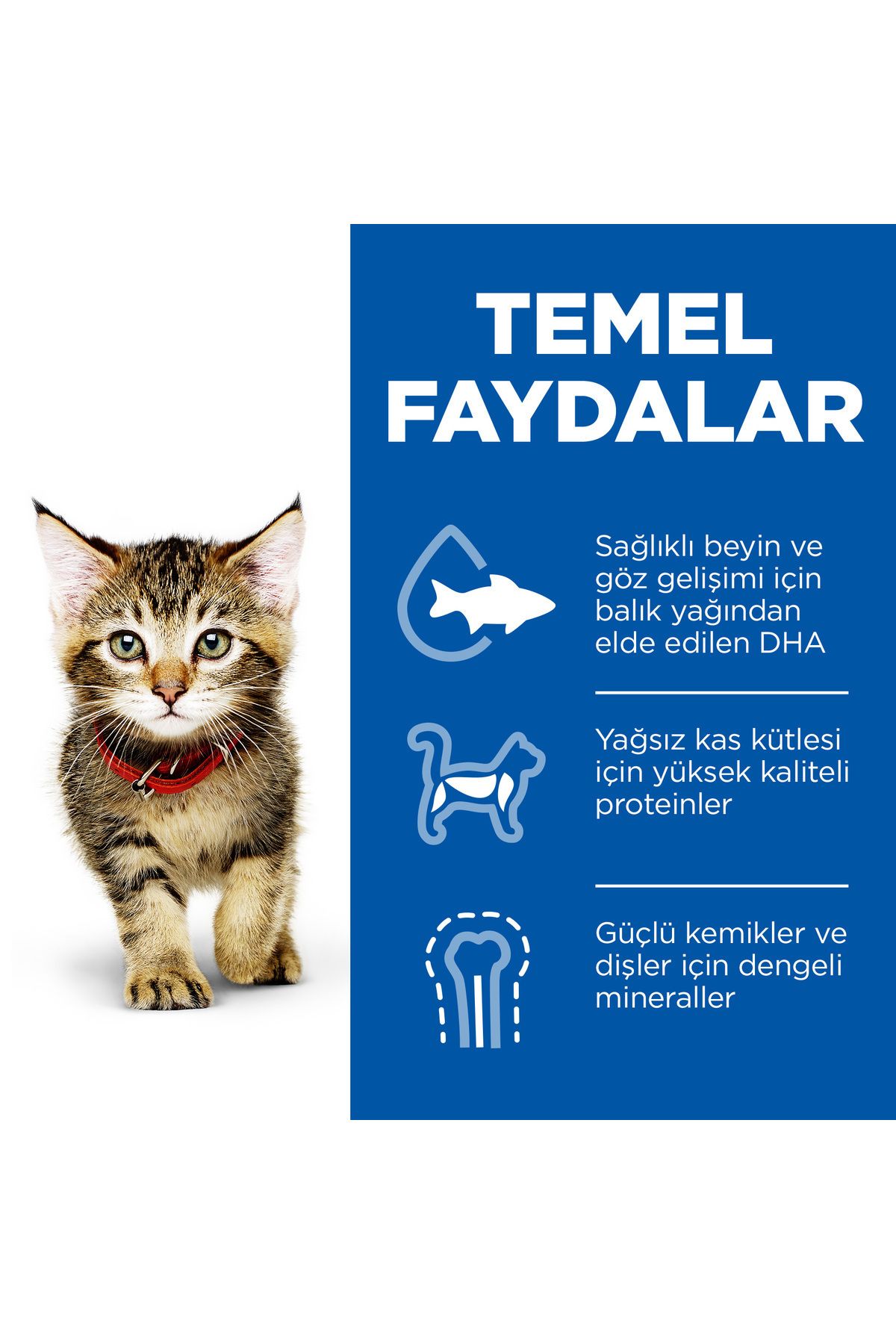 Hill's-SCIENCE PLAN Okyanus Balıklı Yavru Kedi Pouch 12X85g 4