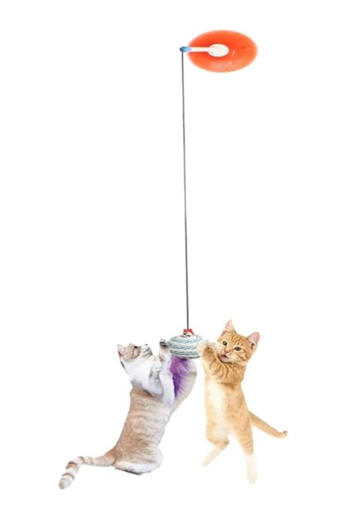 ShopZum Vantuzlu Kedi Oltasi Kedi Oyuncaği