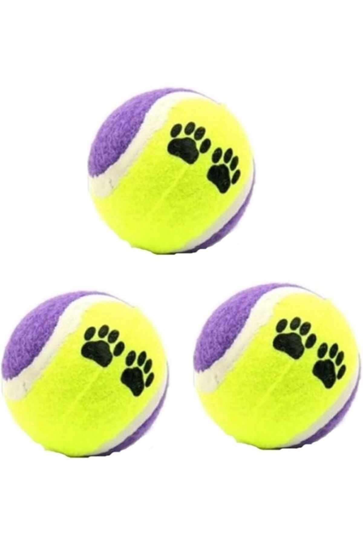 ShopZum Evcil Hayvan Köpek Eğitim Topu 3 Lü Set