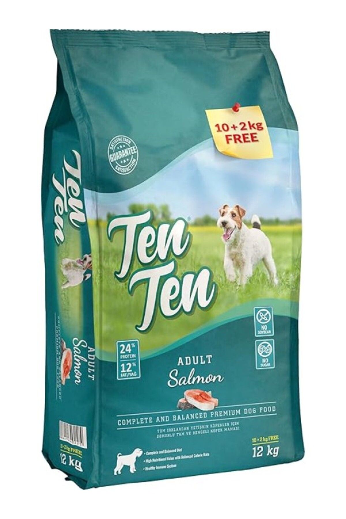 ShopZum Ten Ten Somonlu Yetişkin Köpek Maması 10+2 Kg
