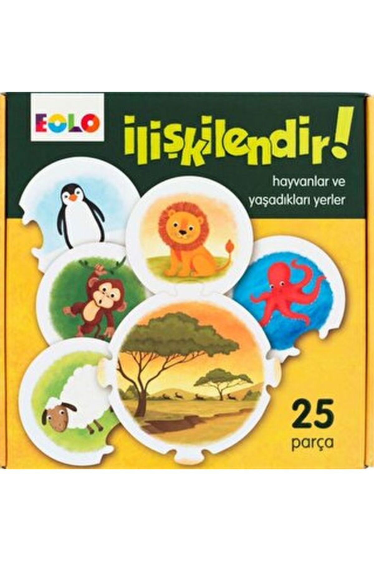 Eolo İlişkilendir!-Hayvanlar ve Yaşadıkları Yerler