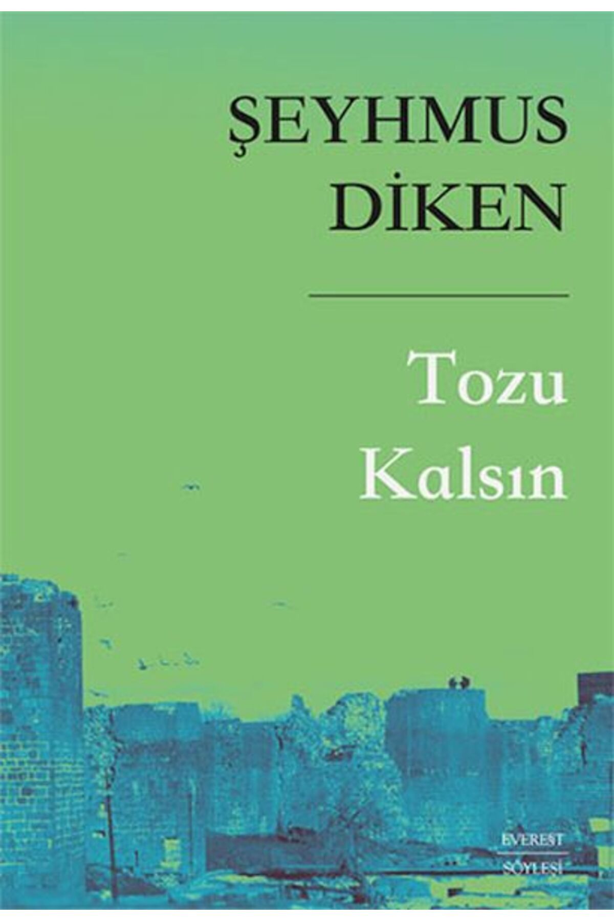 Everest Yayınları Tozu Kalsın