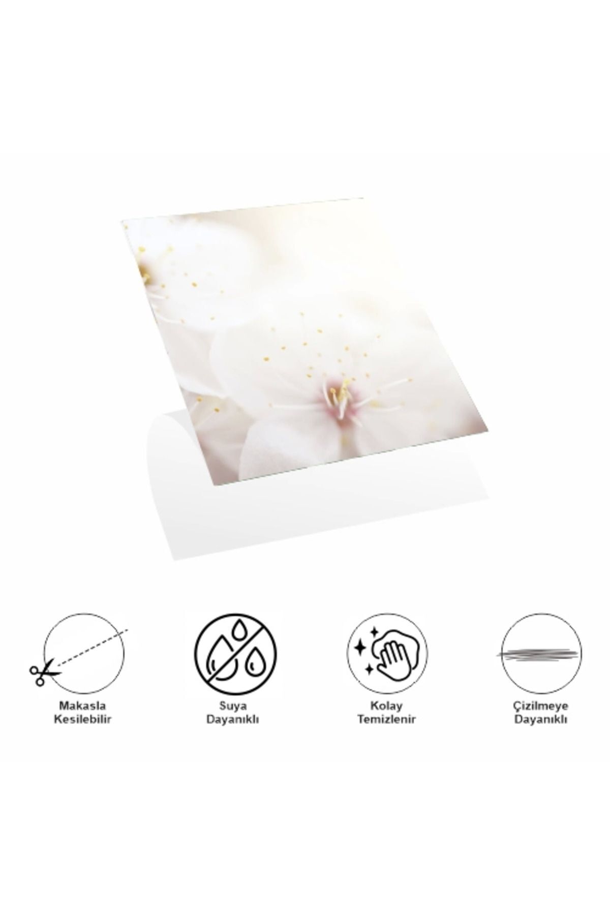SerenityHaven Decohandy 30x30 Cm Pvc Duvar Karosu 4'Lü Paket - Japon Çiçeği