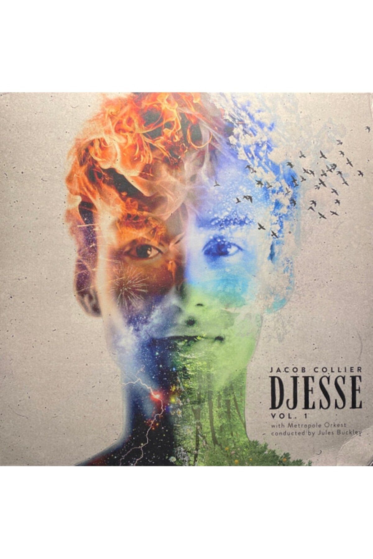 Ege Kitap ve Plak Evi Jacob Collier - Metropole Orkest - Djesse Vol. 1 , Lp Free Jazz