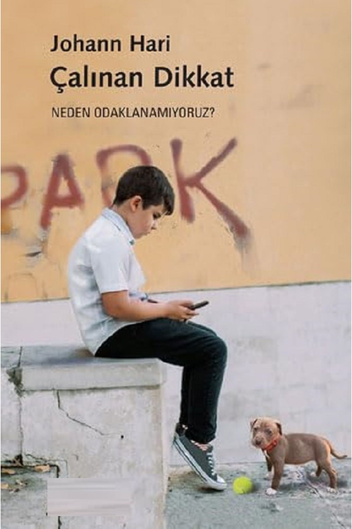 Bloomsbury Çalınan Dikkat: Neden Odaklanamıyoruz? - Johann Hari