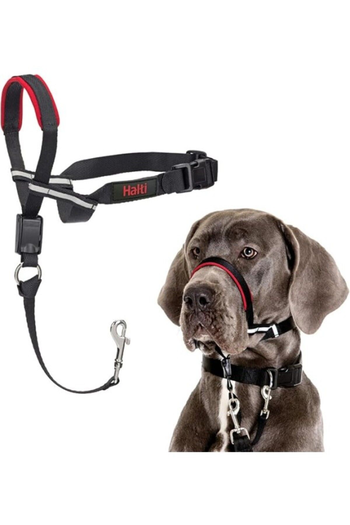 ShopZum Halti Baş Yaka, Köpekler Ayarlanabilir Kafa Halter Yaka, Büyük Köpekler Çekme Durağına Baş