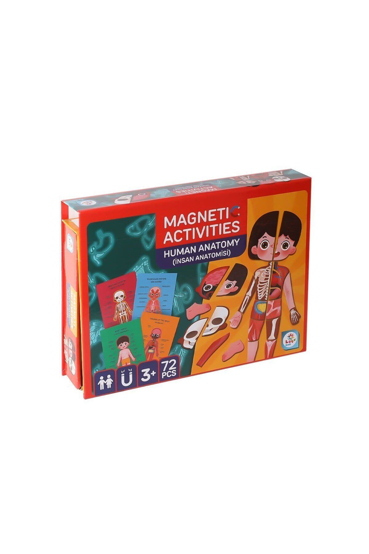 melfxxl eticaret LC986 Manyetik Aktivite İnsan Anatomisi -Laço