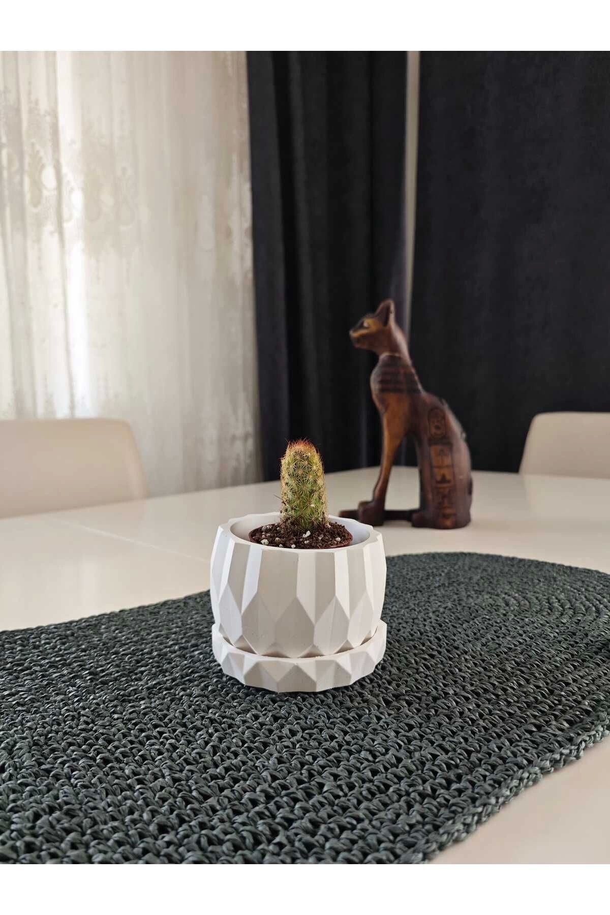 SerenityHaven Geometrik Tasarım Sukulent Saksı ve Alt Tabağı