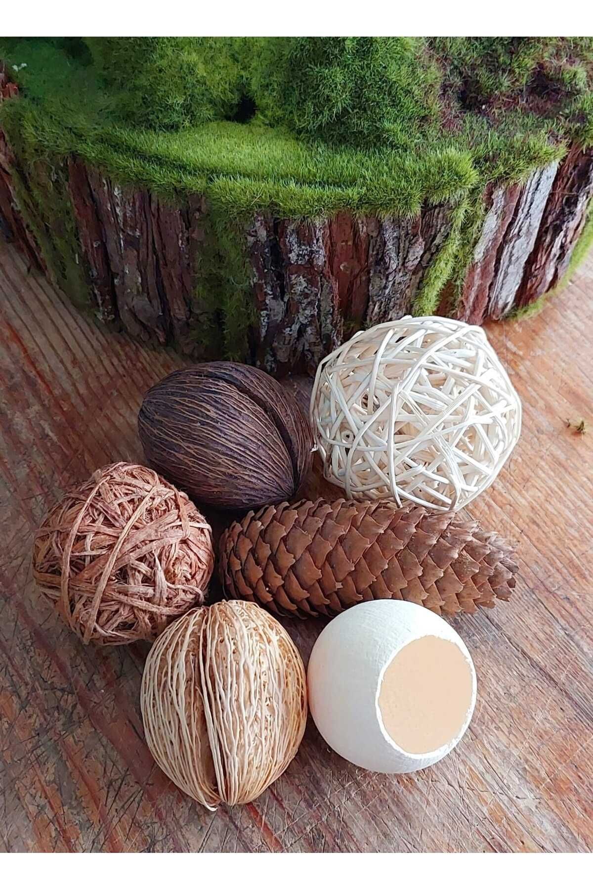 SerenityHaven Dekoratif Kurutulmuş Obje Set 1, Ev Dekorasyon, Masa Dekorasyon,