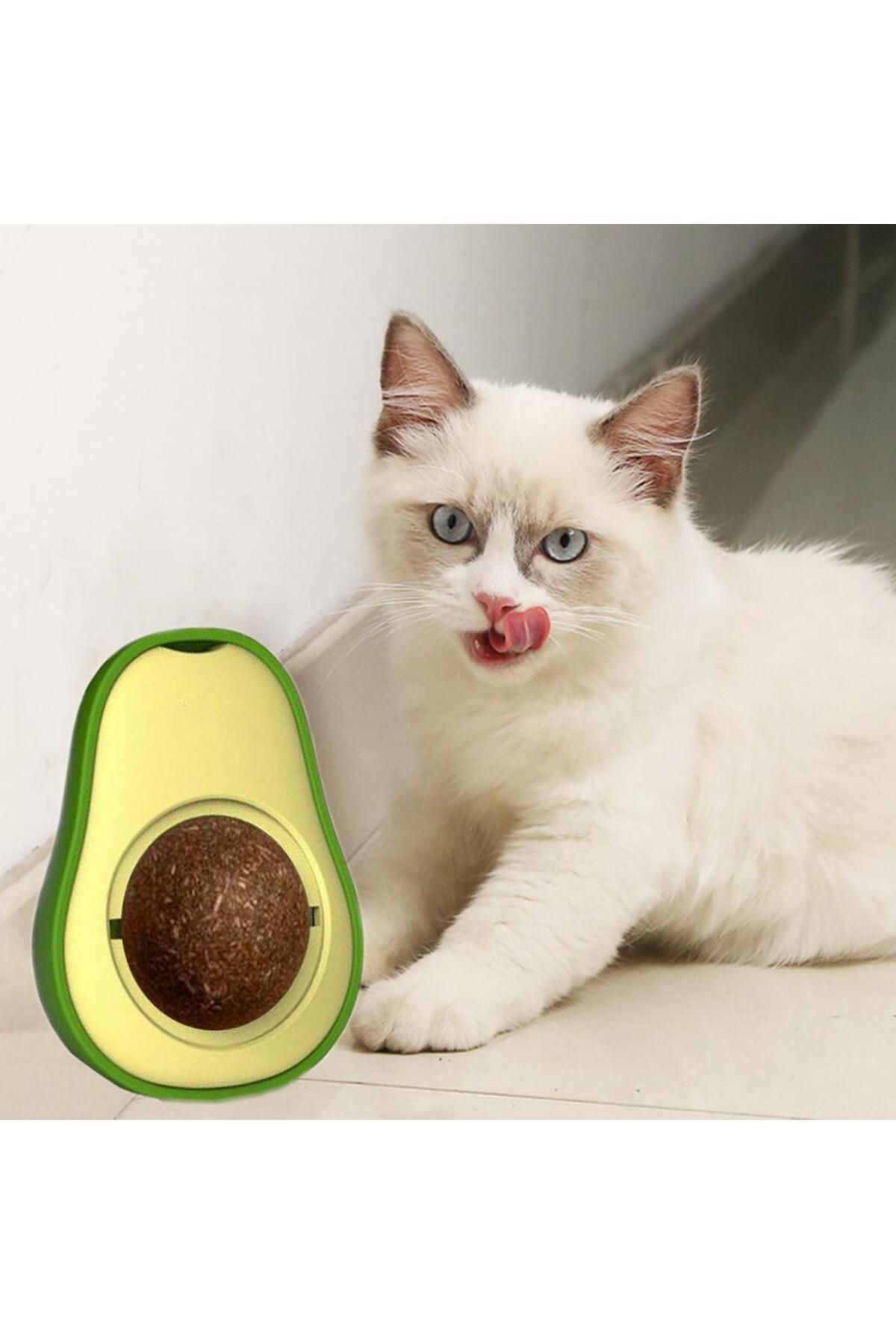 merland benvecocuk Avokado Dönen Kedi Nanesi Cat Oyun Topu Doğal Kedi Oyuncağı
