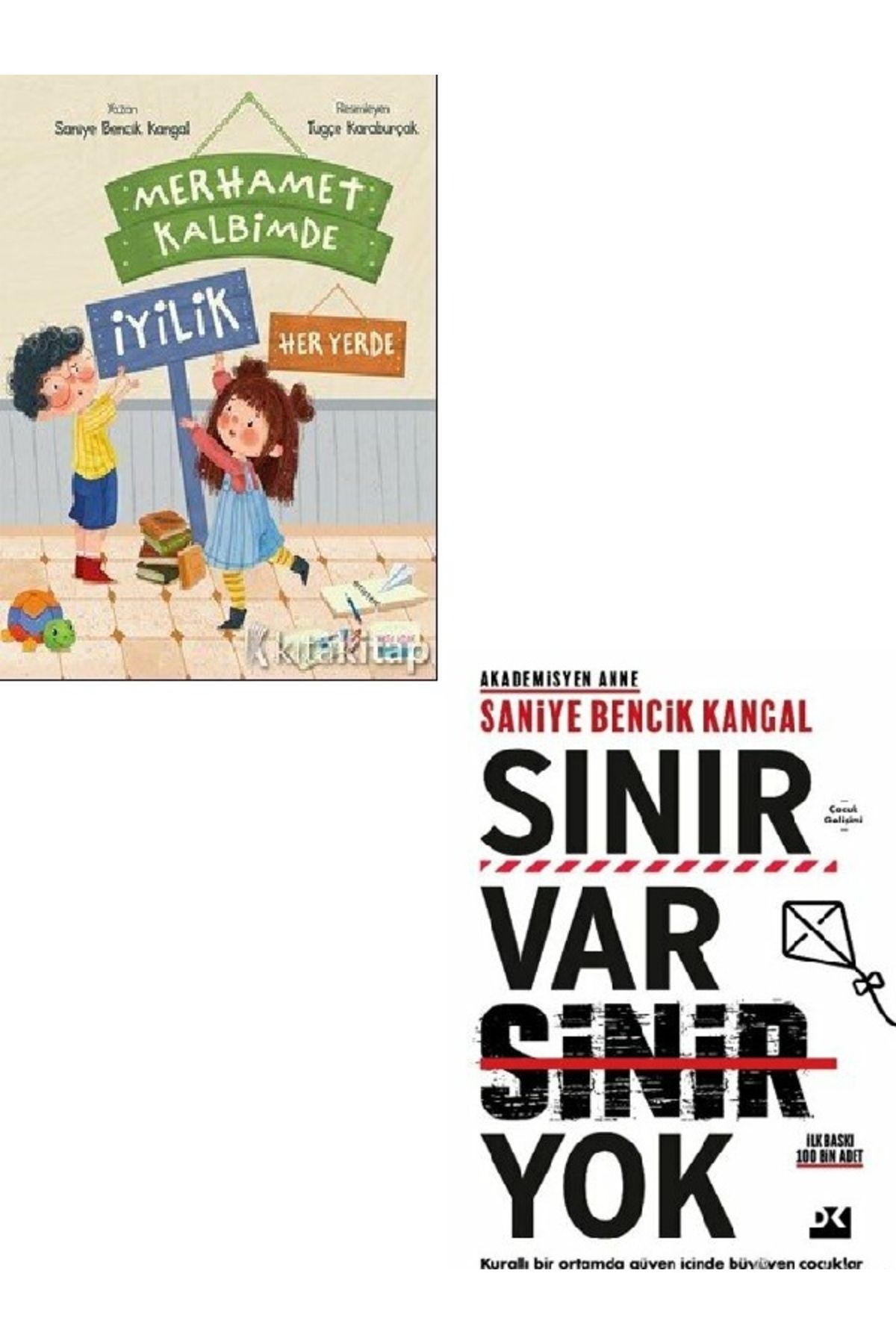 Destek Yayınları Merhamet Kalbimde İyilik Her Yerde-Sınır Var Sinir Yok-Saniye Bencik 2 KİTAP (ÜCRETSİZ KARGO)