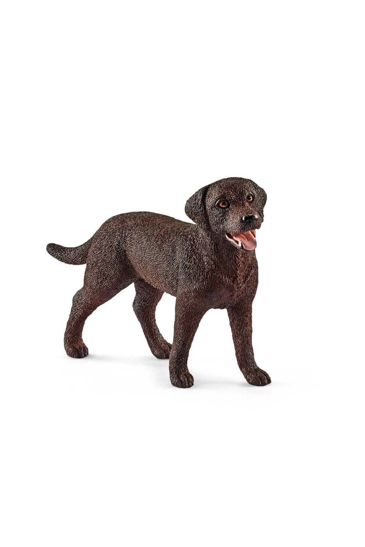 merland benvecocuk 13834 Schleich - Dişi Labrador Retriever +3 yaş