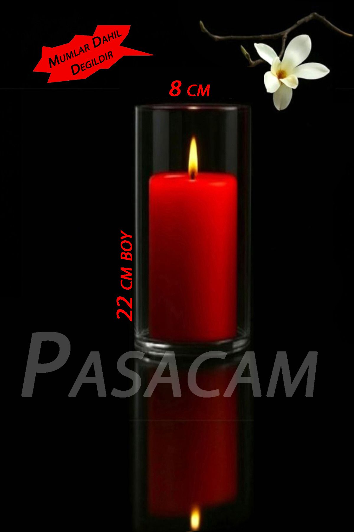 Paşa Cam Cam Vazo Silindir Mumluk 8 cm Boy 22 cm Yükseklik