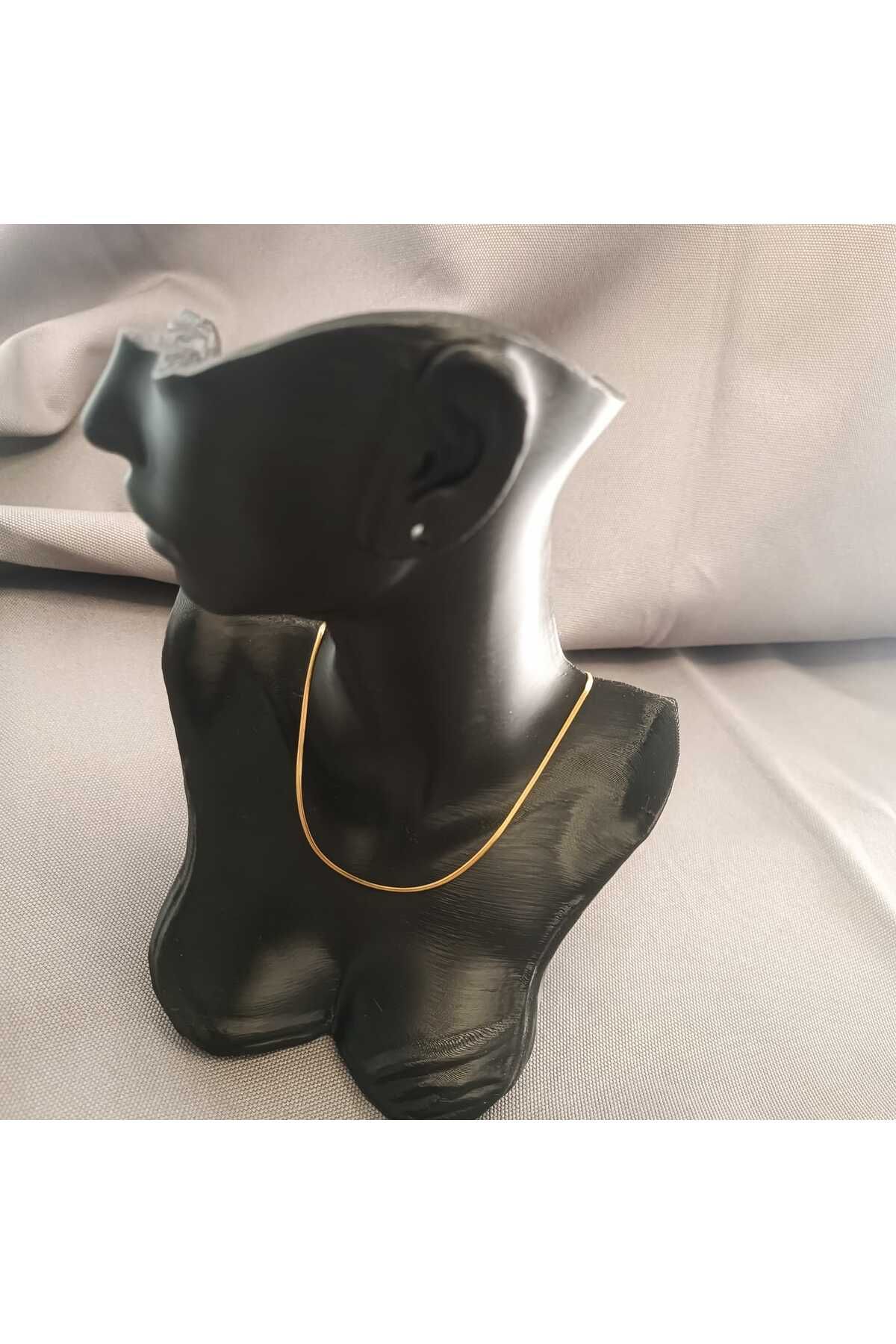 Masal Gurumi İTALYAN EZME ZİNCİR KOLYE GOLD RENK 316L ÇELİK
