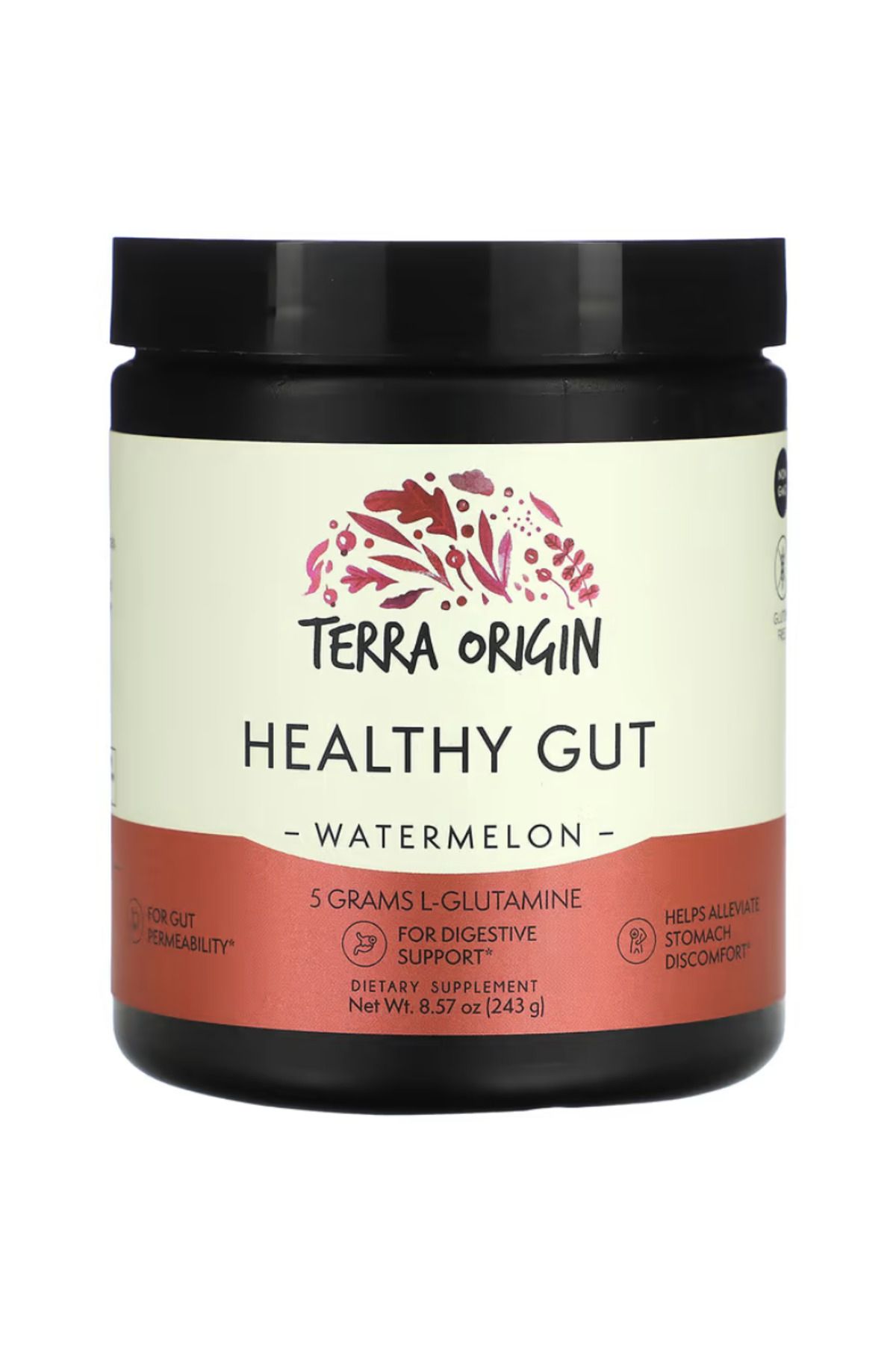 Terra Origin , Healthy Gut, Watermelon, 8.57 oz (243 g)