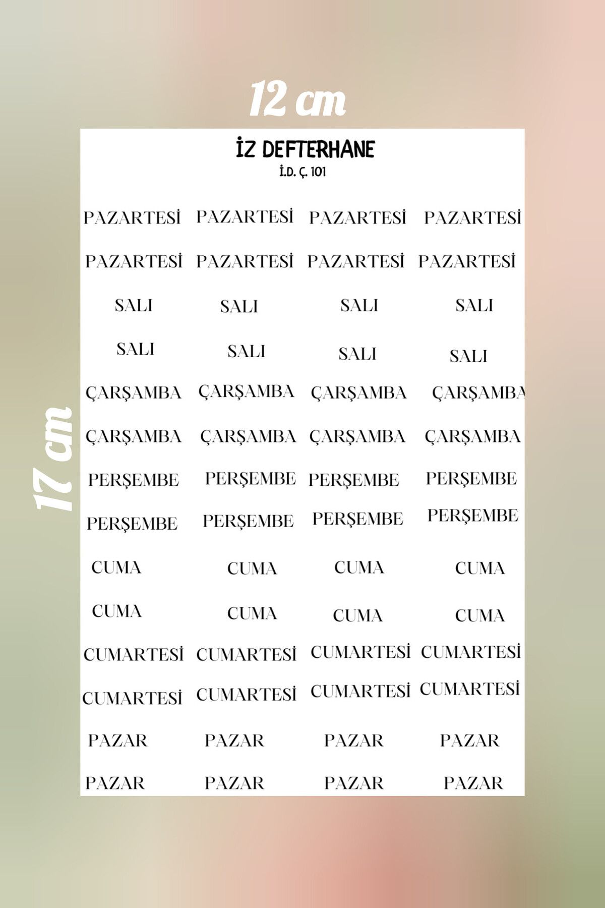 İZ DEFTERHANE Günler Çıkartma Sticker Günler Etiket (Defter ajanda ve günlük planlayıcılar için)