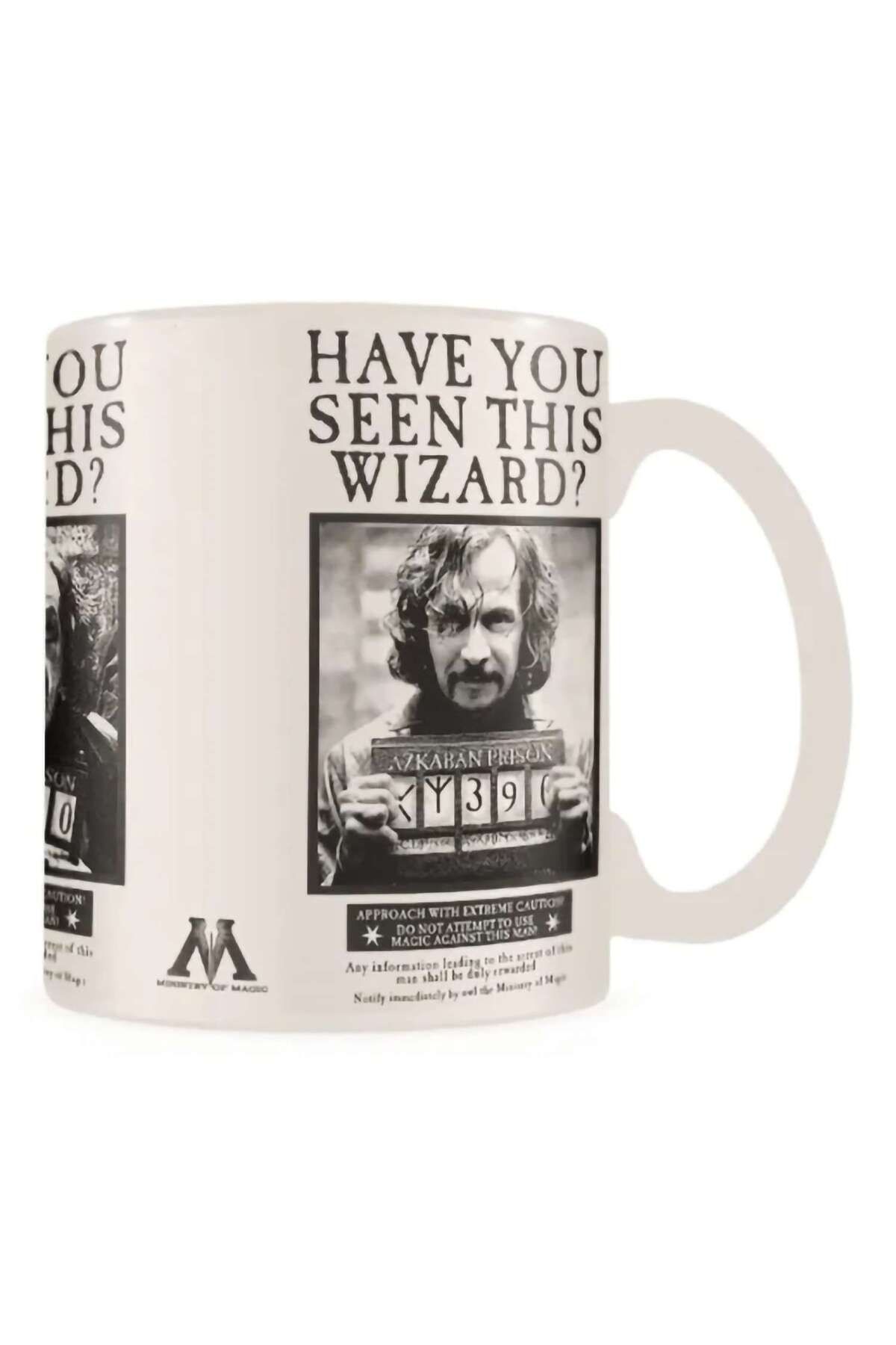 Pyramid International Isı Değiştiren Kupa Harry Potter (Sirius Black Aranıyor) 315ml SCMG25012