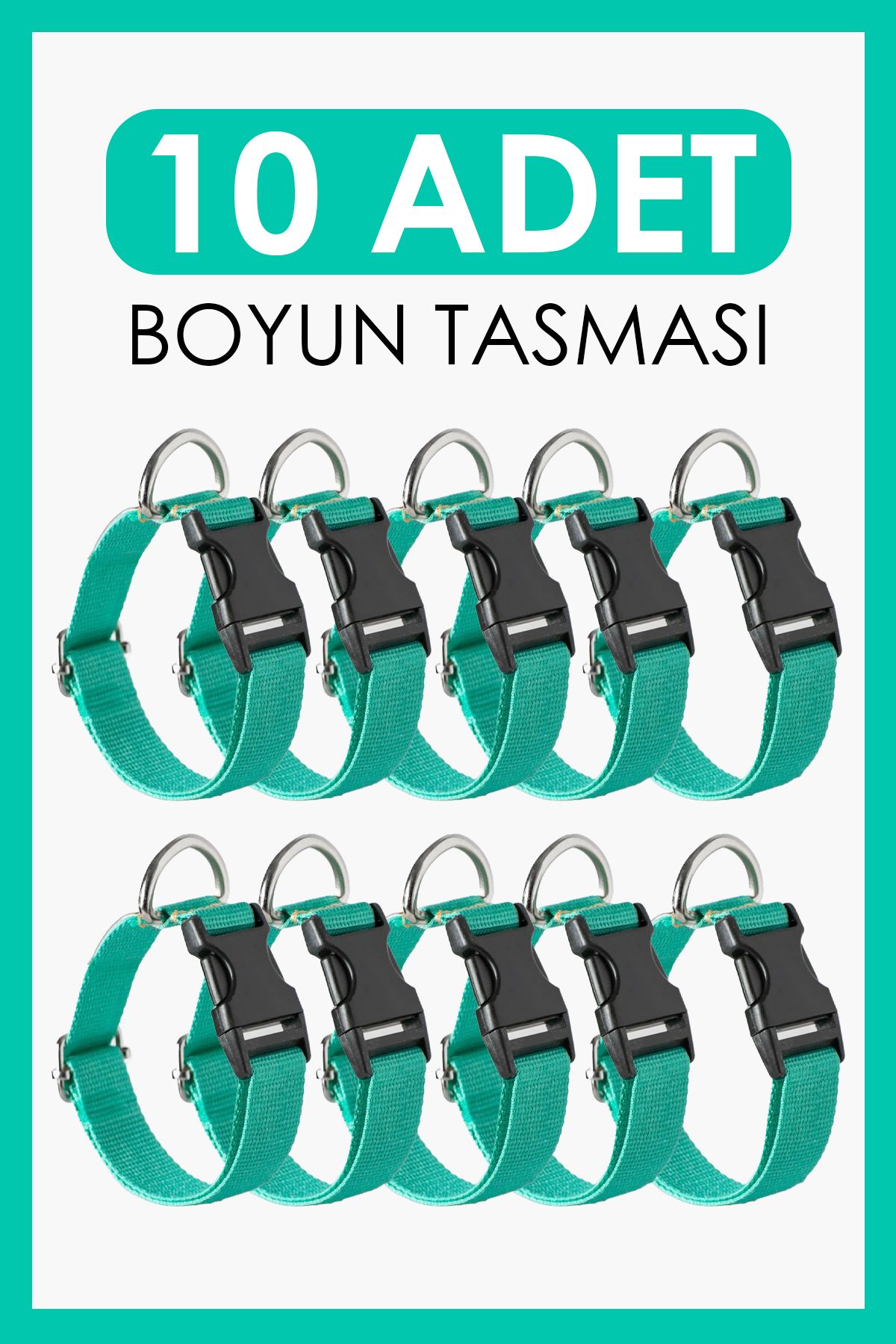 pasiole 10’lu Köpek Boyun Tasması Seti | Ayarlanabilir, Dayanıklı, El Yapımı, Yerli Üretim