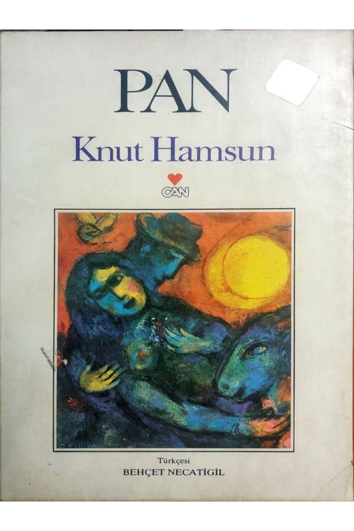 Afa Yayınları Pan Can Yayınları