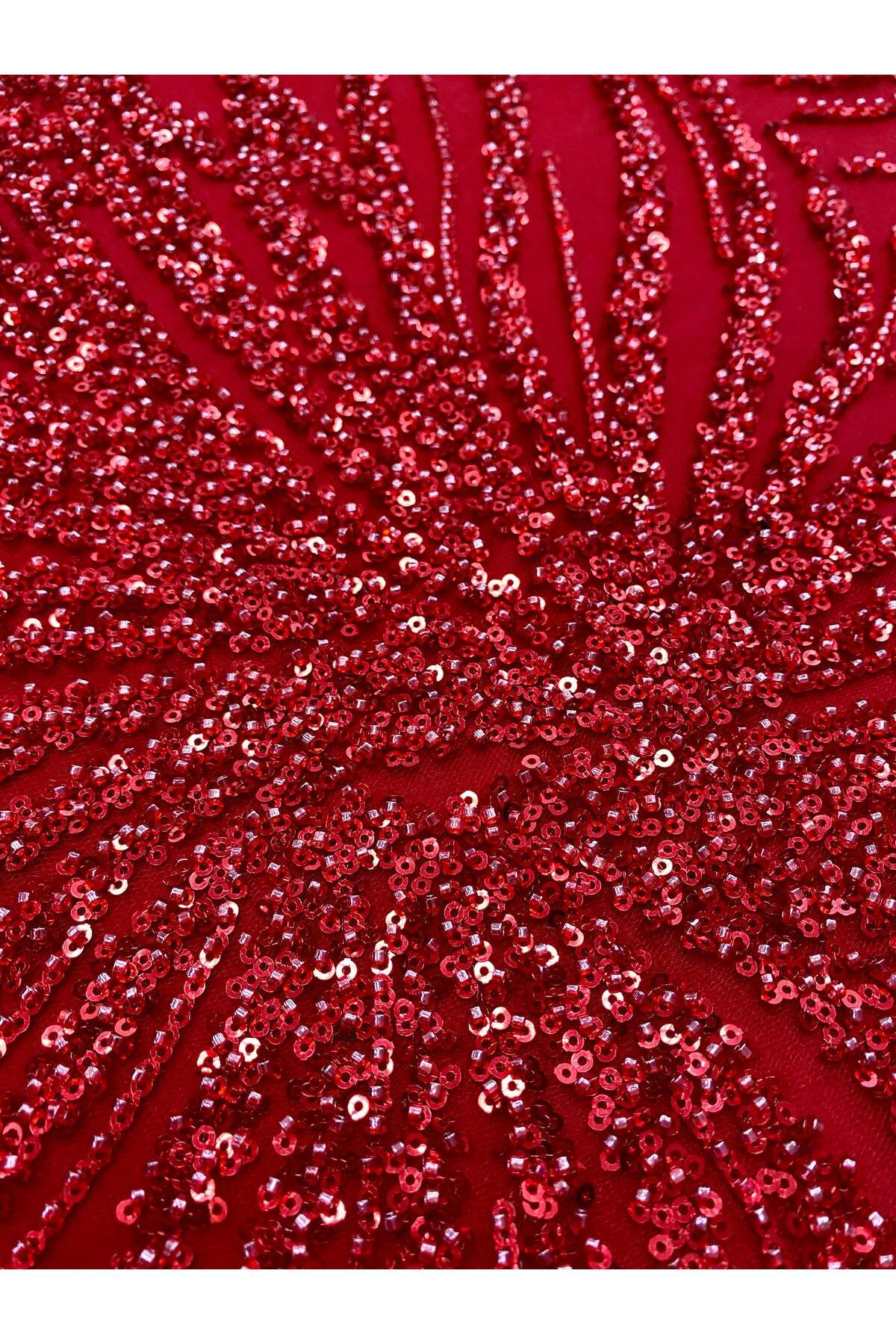 Luxuro-Red Couture Lace with Strings, Beads and Sequins 5