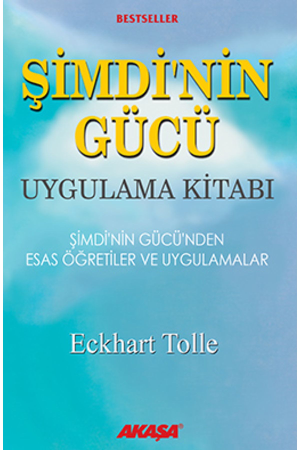 Akaşa Yayınları Şimdi'Nin Gücü Uygulama Kitabı