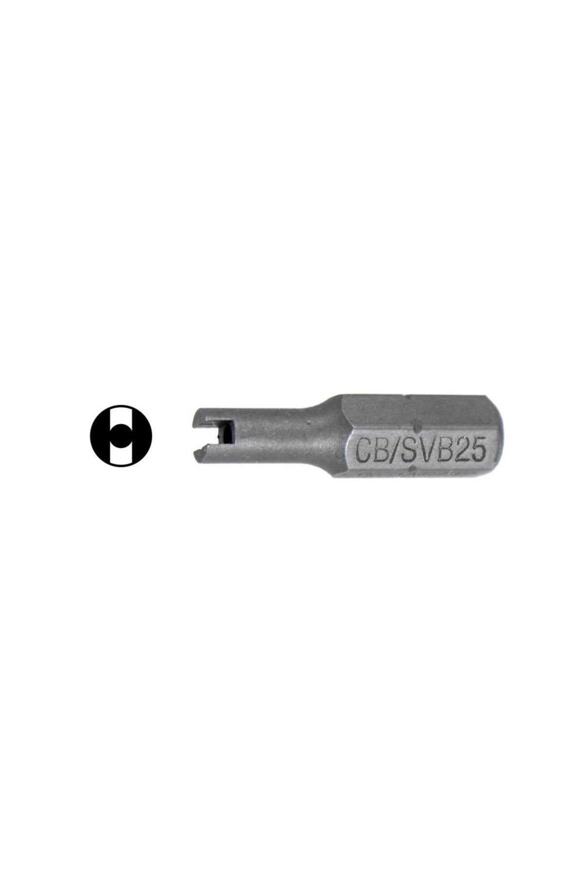 CETA FORM 1/4" Schrder Lastik Sibop İğneleri için Bits Uç