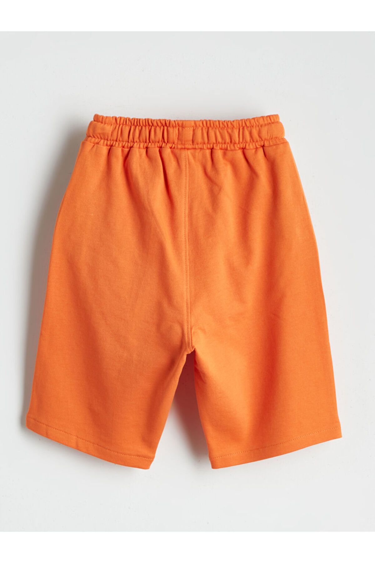 LC Waikiki-New Season Printed Boys' T-Shirt and Shorts 2-Piece Set - S5Ik23Z1 5