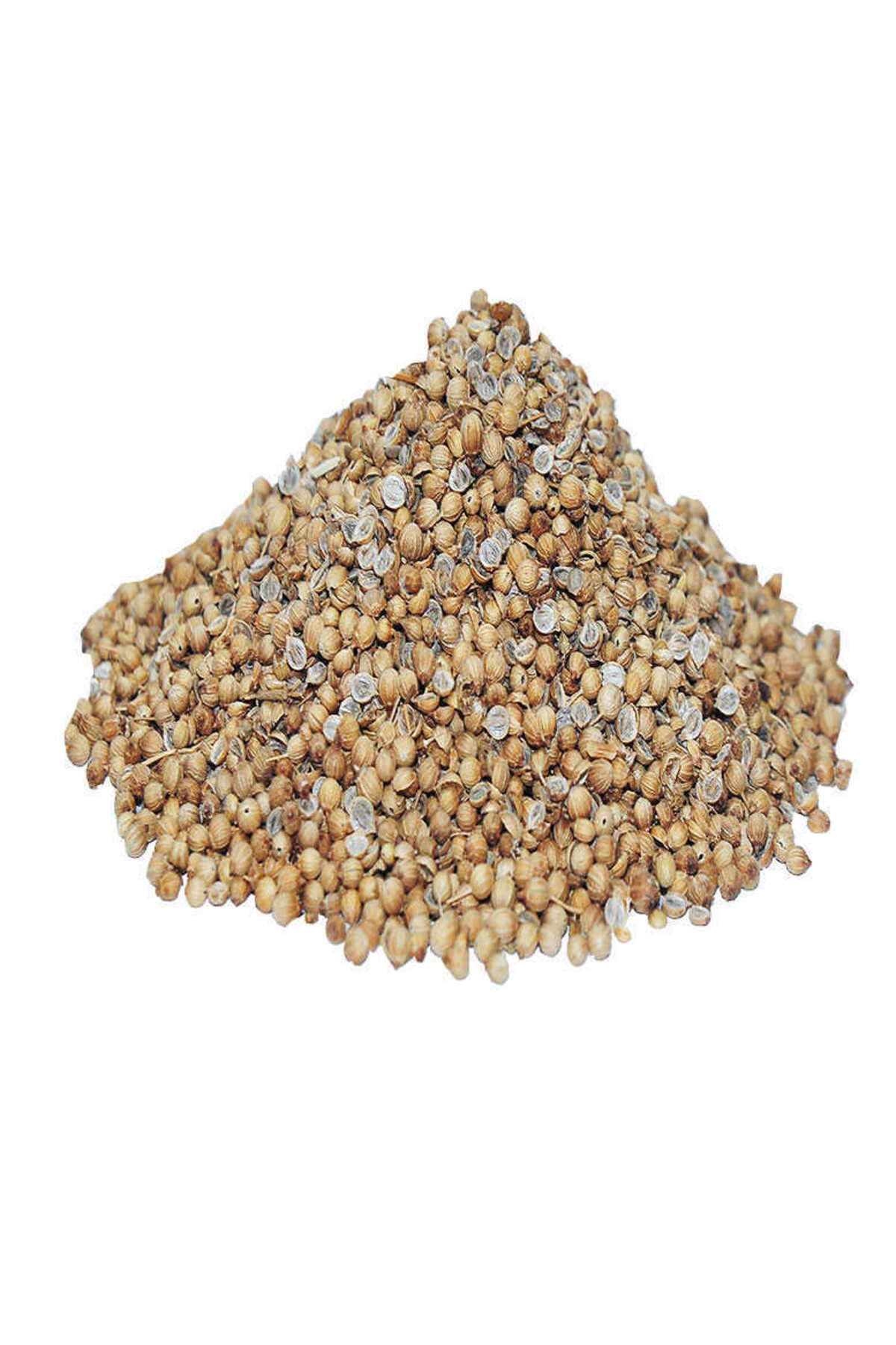 Modafiks Kişniş Doğal Tane 1000 Gr Paket