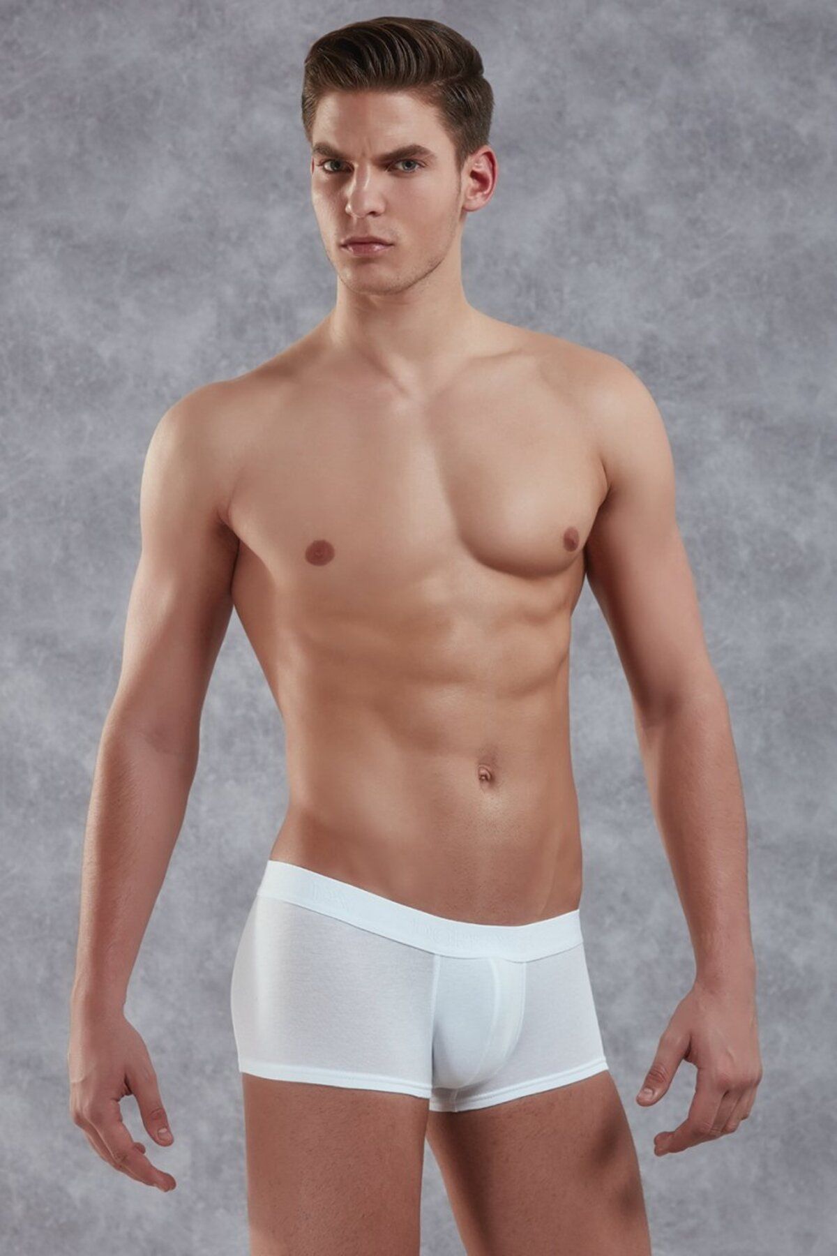 NazikEndam Dore anse Erkek Modal Torbalı Kısa Paça Boxer 1760
