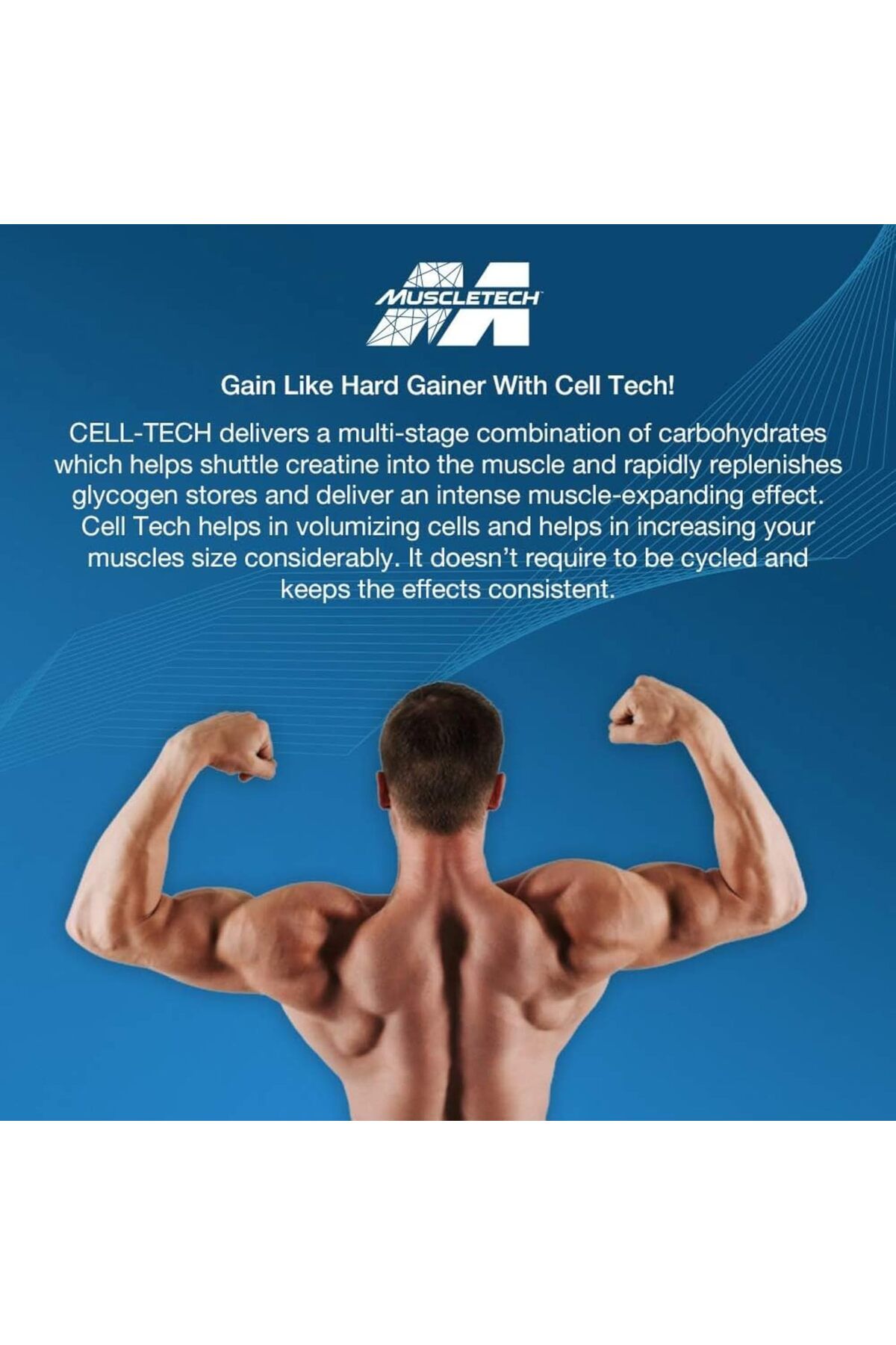 MUSCLETECH-MuscleTech Cell-Tech Creactor Creatine HCl to Build Muscle, Boost Strength, Fruit Punch 120 Servings 7
