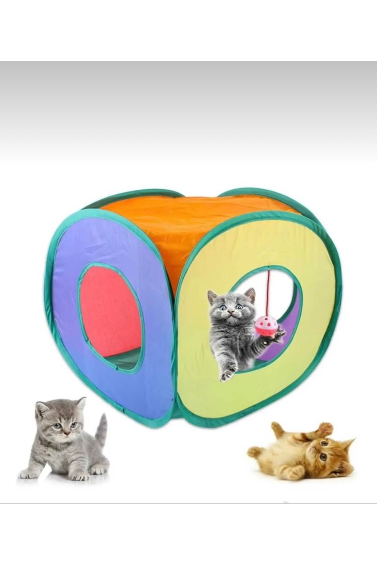 Cans Kare Kedi Oyun Tüneli