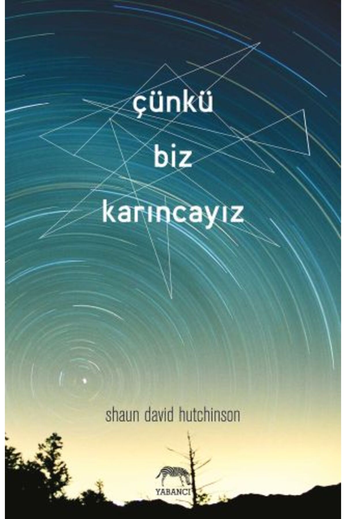Yabancı Yayınları Çünkü Biz Karıncayız (Ciltli)