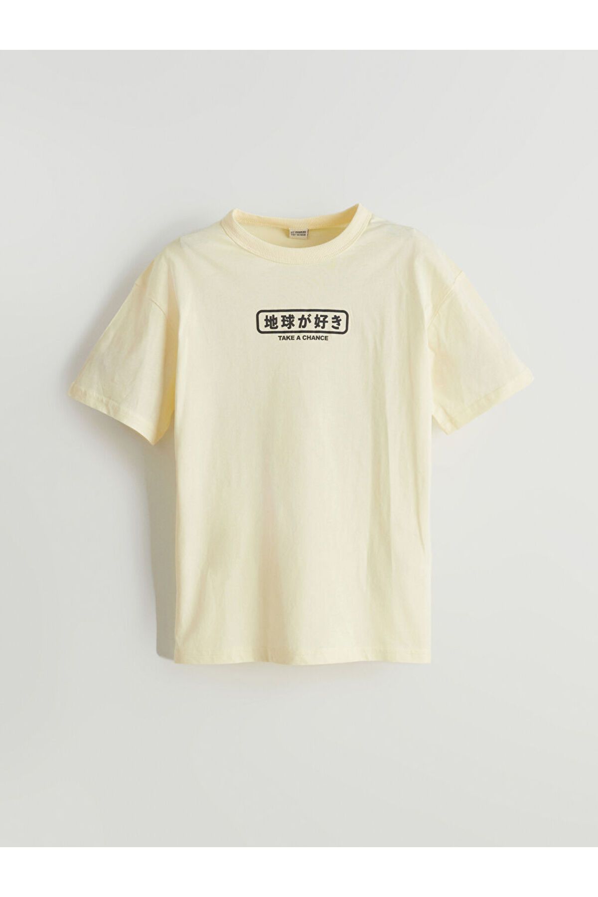 LC Waikiki-Sari Crew Neck Boy's T-Shirt 1
