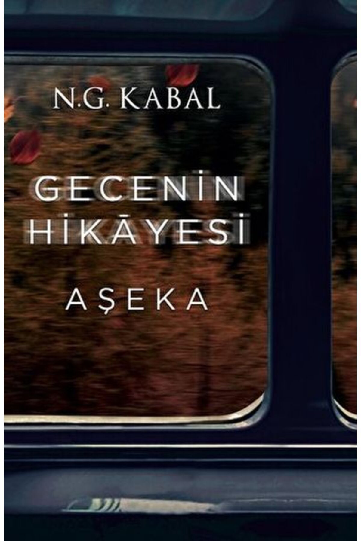 Artemis Yayınları Gecenin Hikayesi - Aşeka