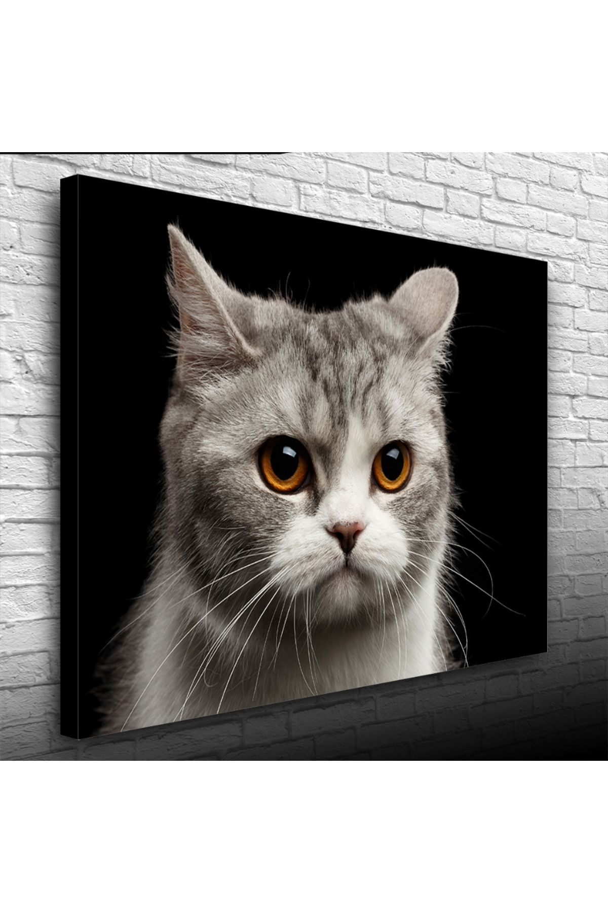 Kanonik Education Şirin Gri Kedi Kanvas Tablo 50 x 70