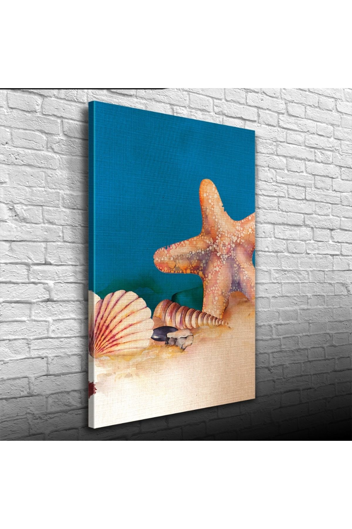 Kanonik Education Deniz Yıldızı ve İstiridye Kanvas Tablo 50 x 70