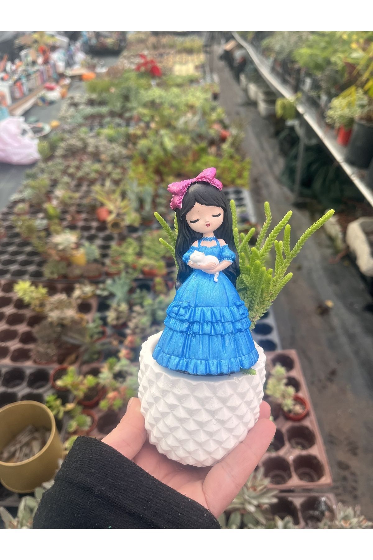 SerenityHaven Kedili Prenses ve Prenses çamı