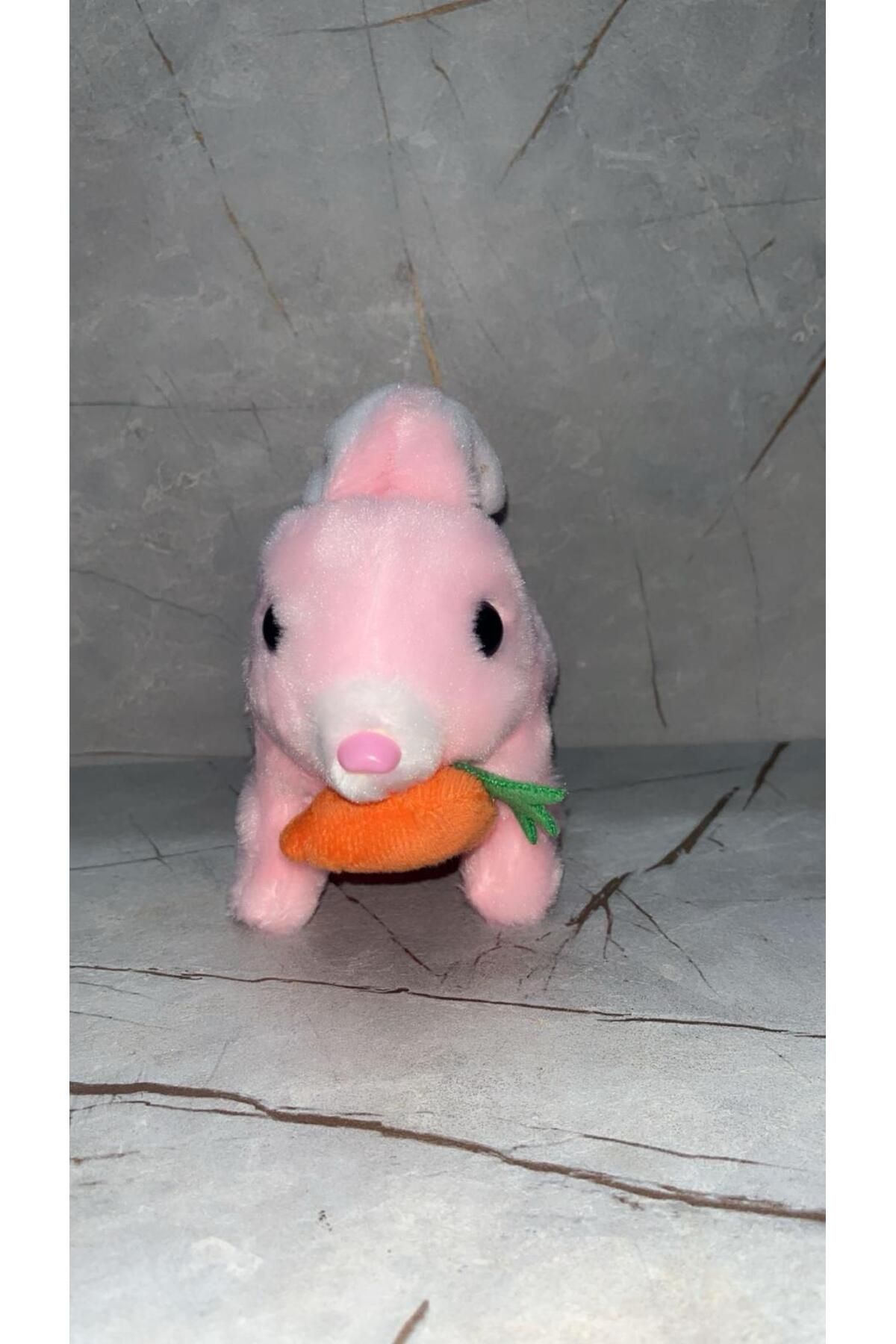 emenglobal pembe Havuçlu Yürüyen, Sesli Hareketli Sevimli Peluş Bunny Tavşan - Sweet Bunny