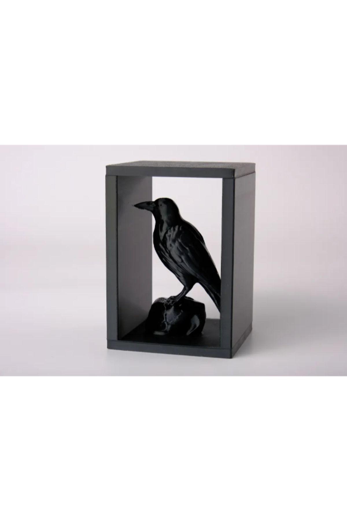 NOMOTHETIC Raven Perch Booknook – Kitapseverler İçin Raf Dekoru