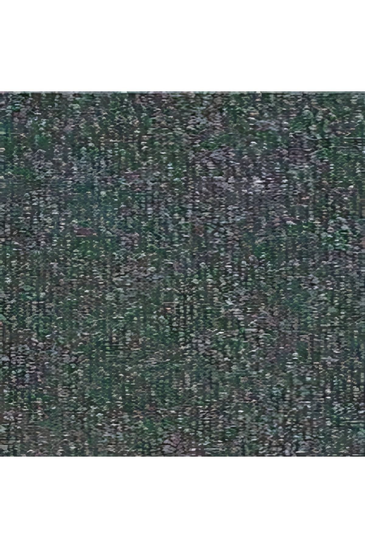 DESSO Ticari Zeminler için Kaliteli ve Şık Karo Halılar | 50x50 cm Ebat 6.5 mm Kalınlık