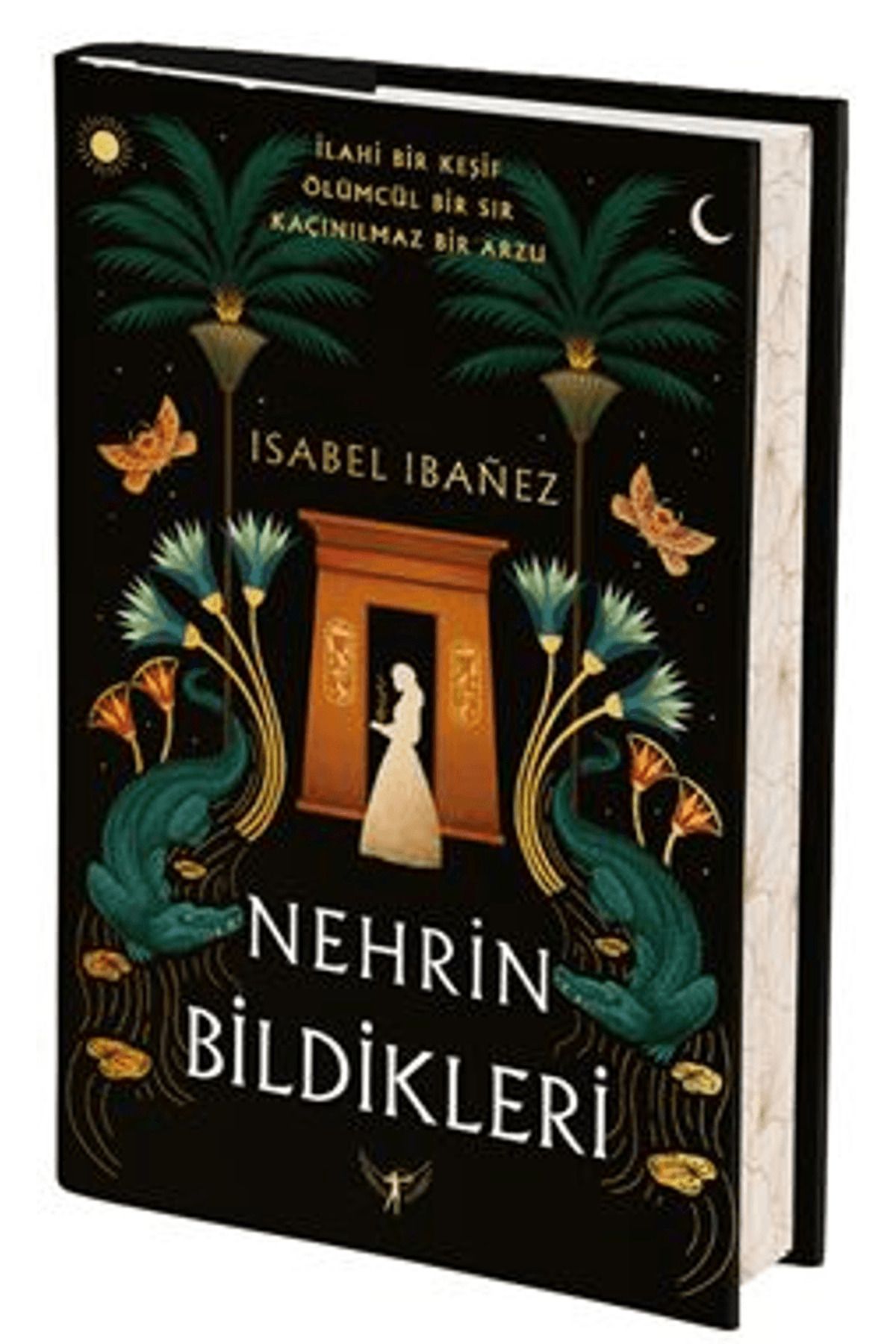 Artemis Yayınları Nehrin Bildikleri / Isabel Ibanez / Artemis Yayınları / 9786255882097
