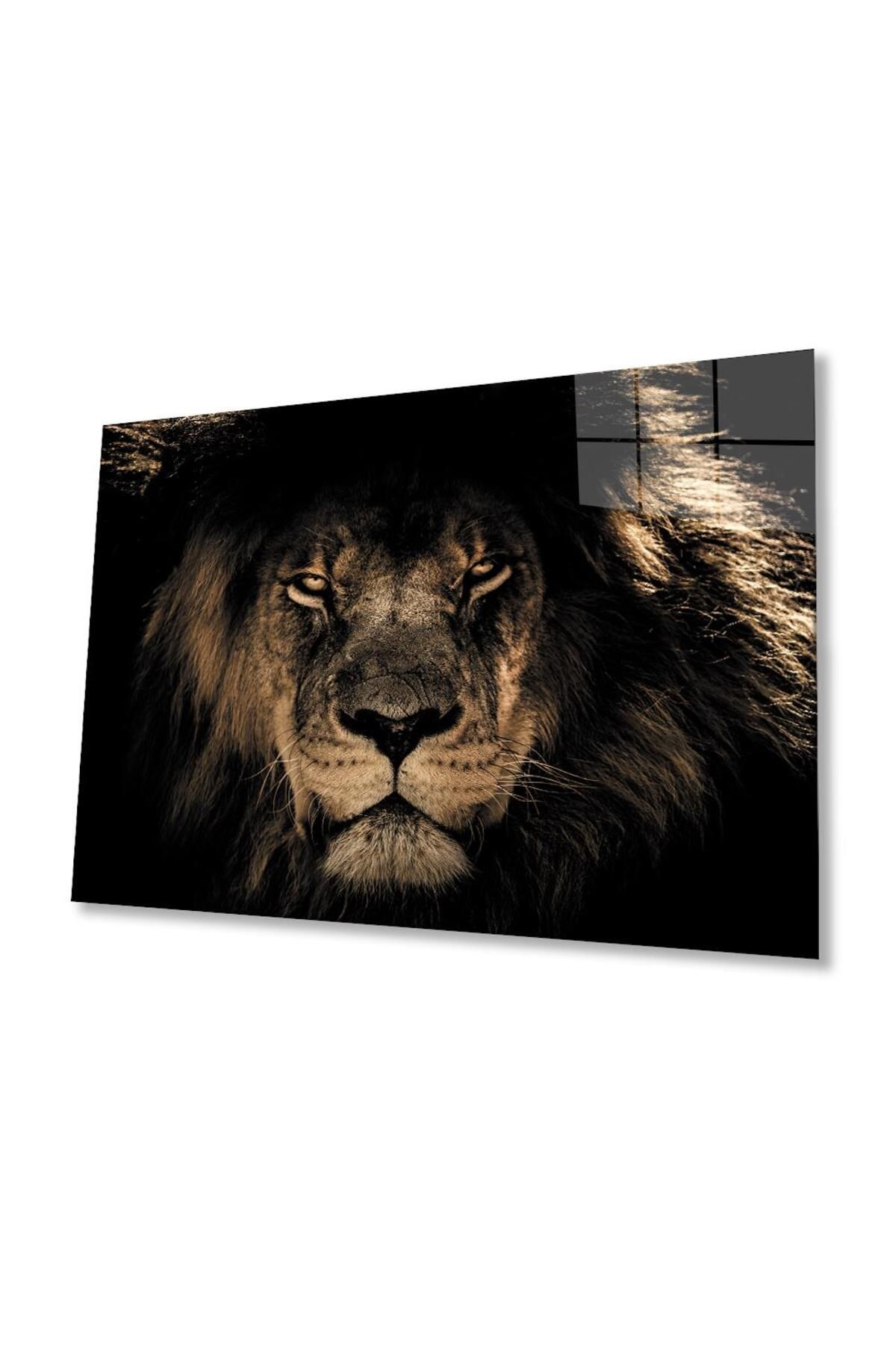 idealizbiz Aslan Cam Tablo