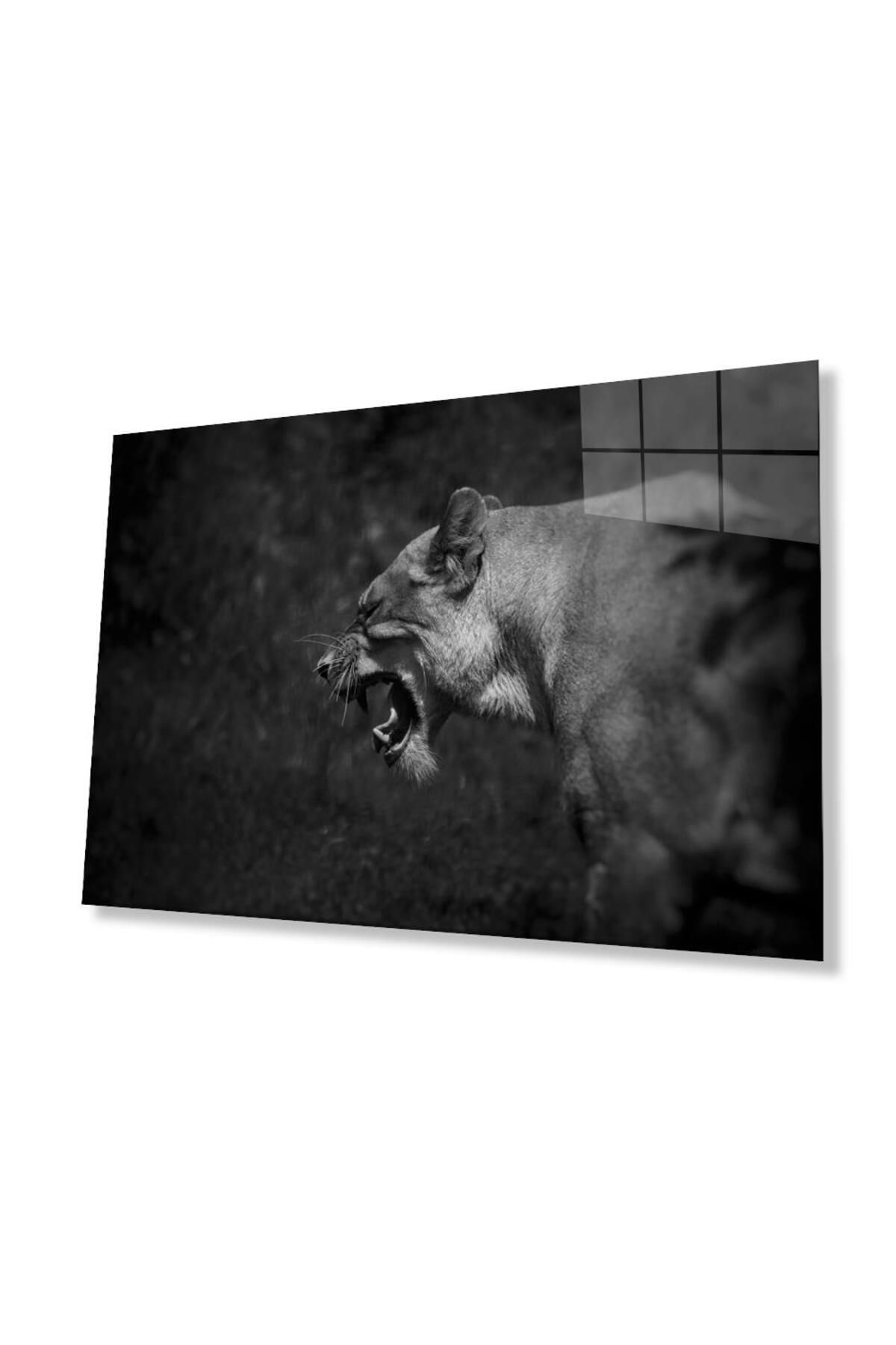 idealizbiz Aslan Cam Tablo 4mm Dayanıklı Temperli Cam