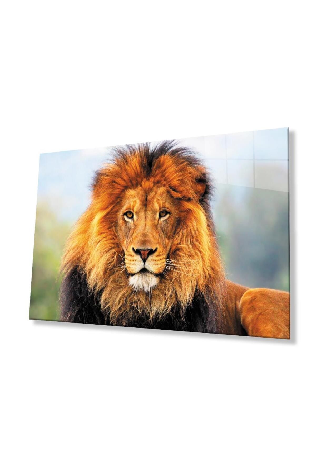 idealizbiz Aslan Cam Tablo 4mm Dayanıklı Temperli Cam