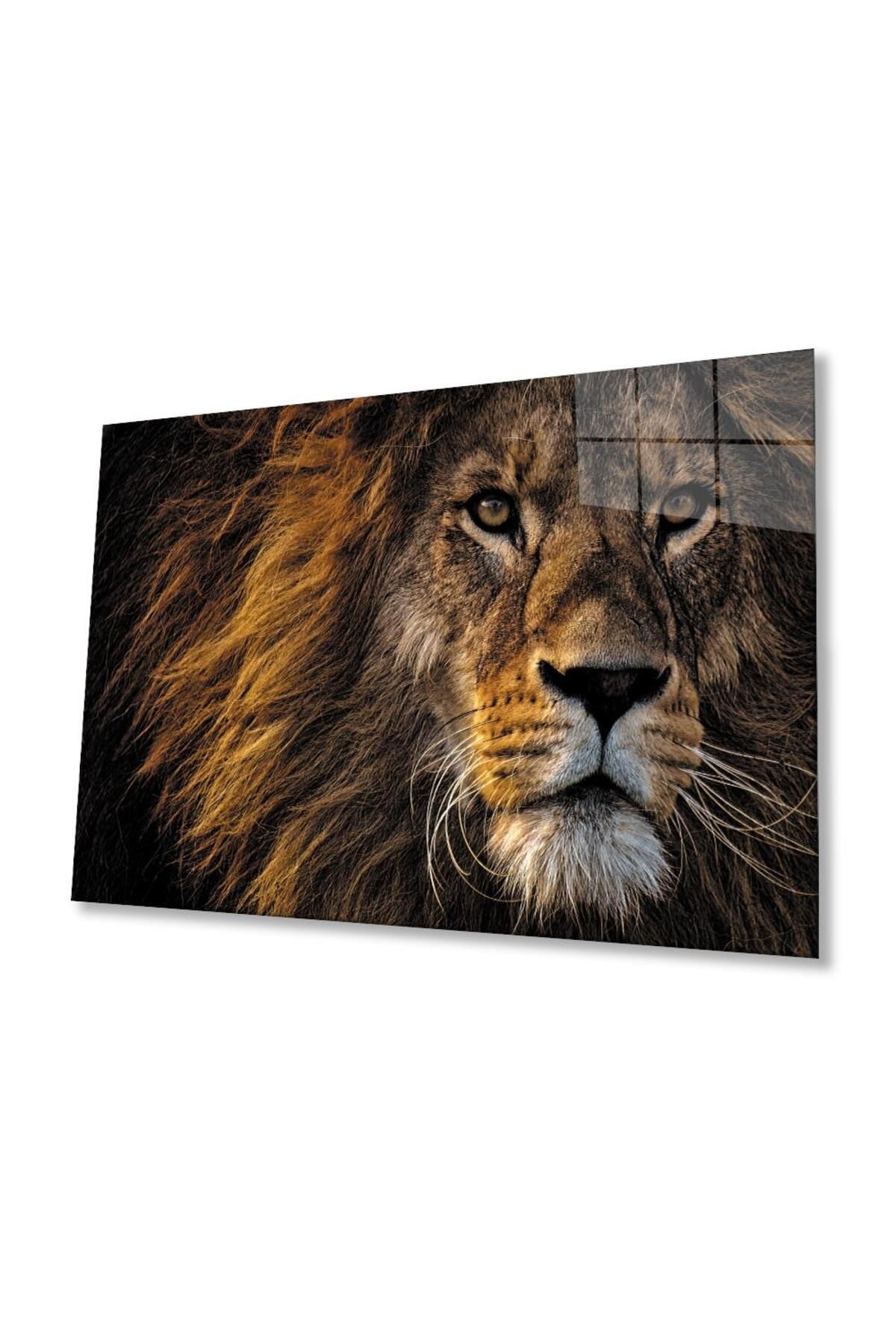 idealizbiz Aslan Cam Tablo