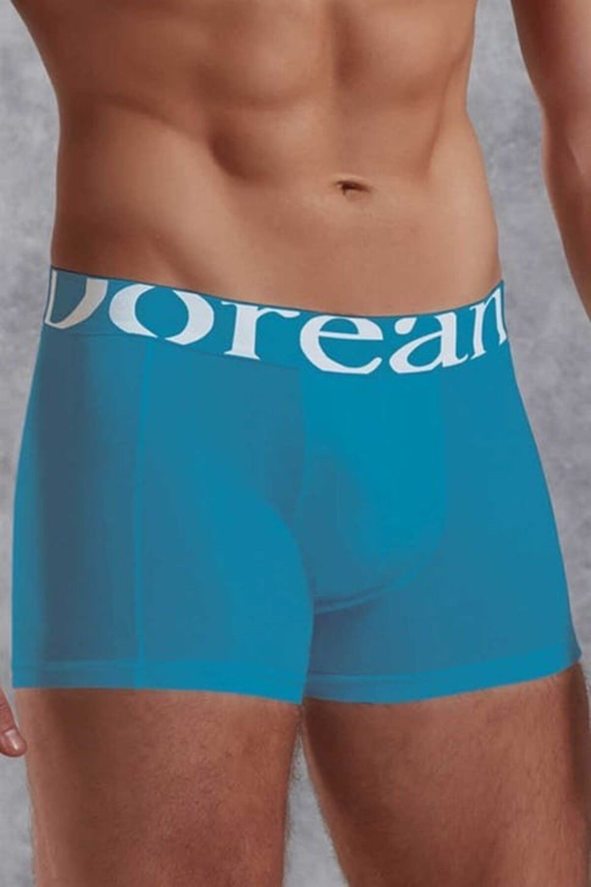 NazikEndam Dore anse Turquaz Erkek Modal Torbalı Normal Paça Boxer 1777