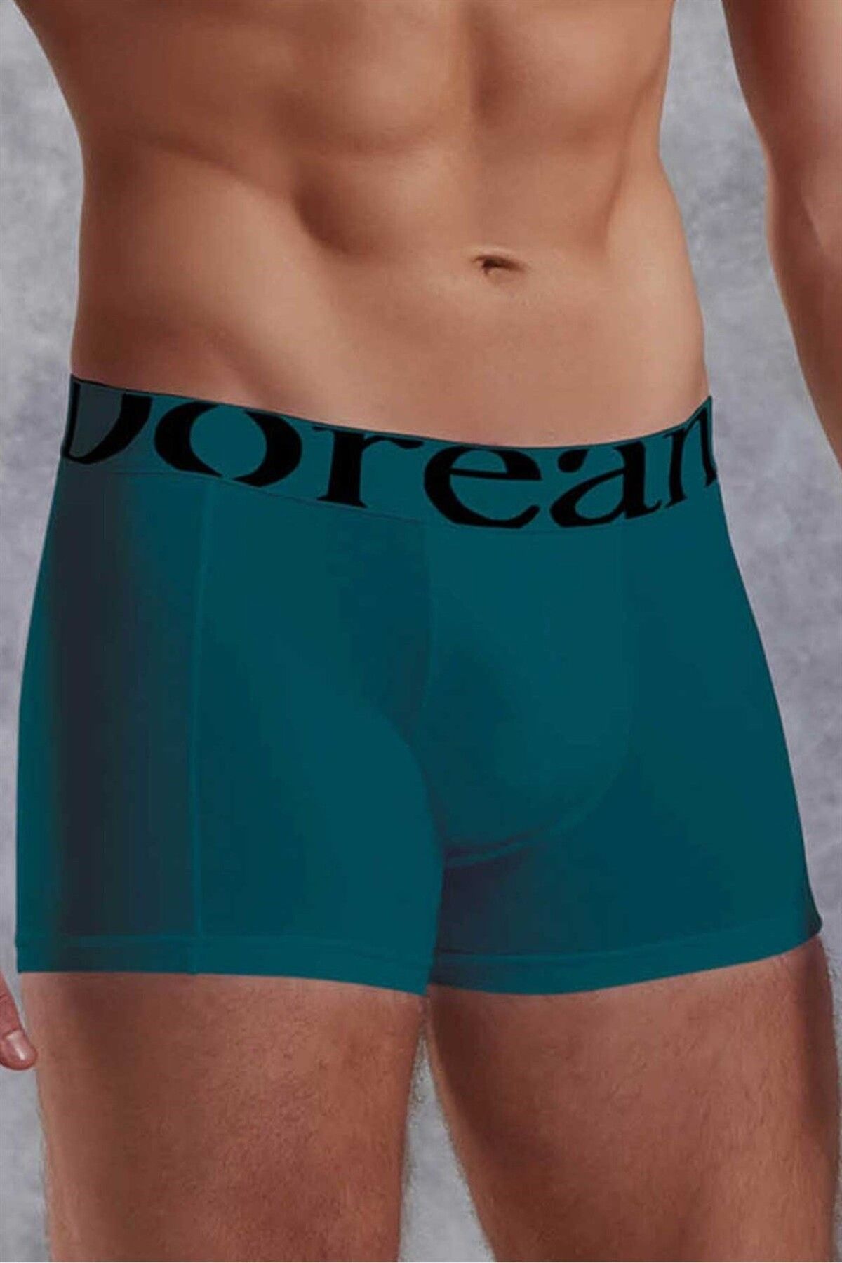 NazikEndam Dore anse Zümrüt Erkek Modal Torbalı Normal Paça Boxer 1777