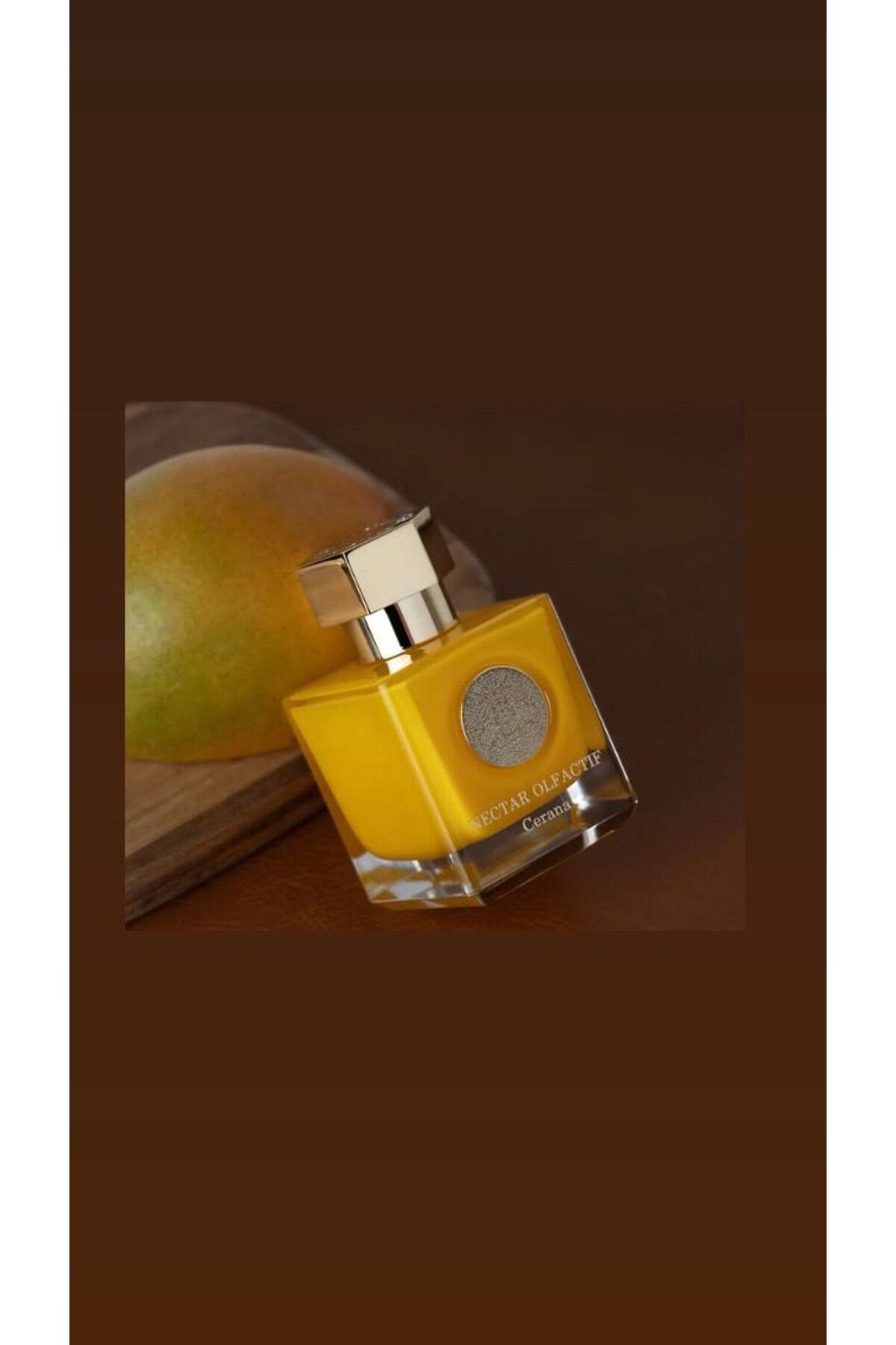 NECTAR OLFACTIF CERANA 100ML