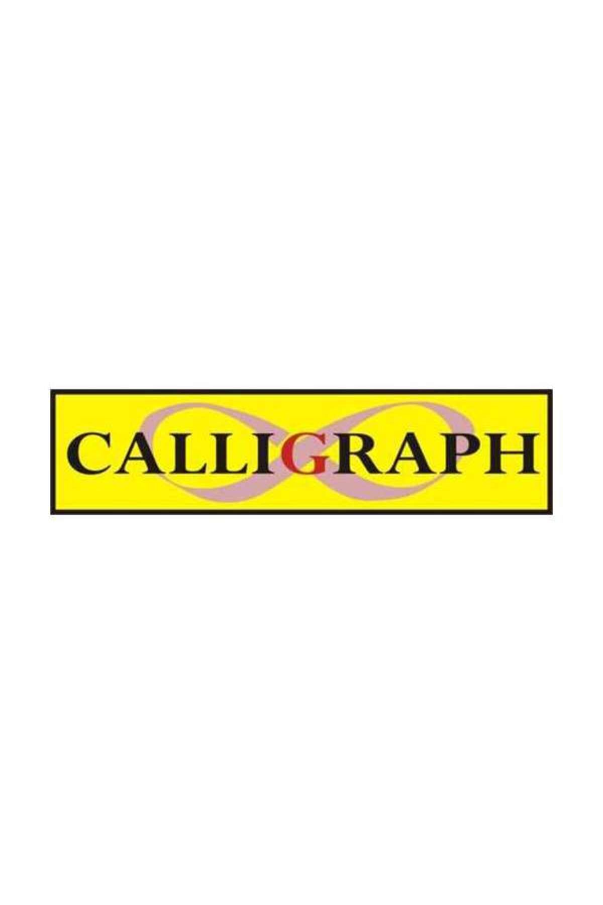 Calligraph T6642/6732 (70Ml) Muadil Mavi Mürekkep