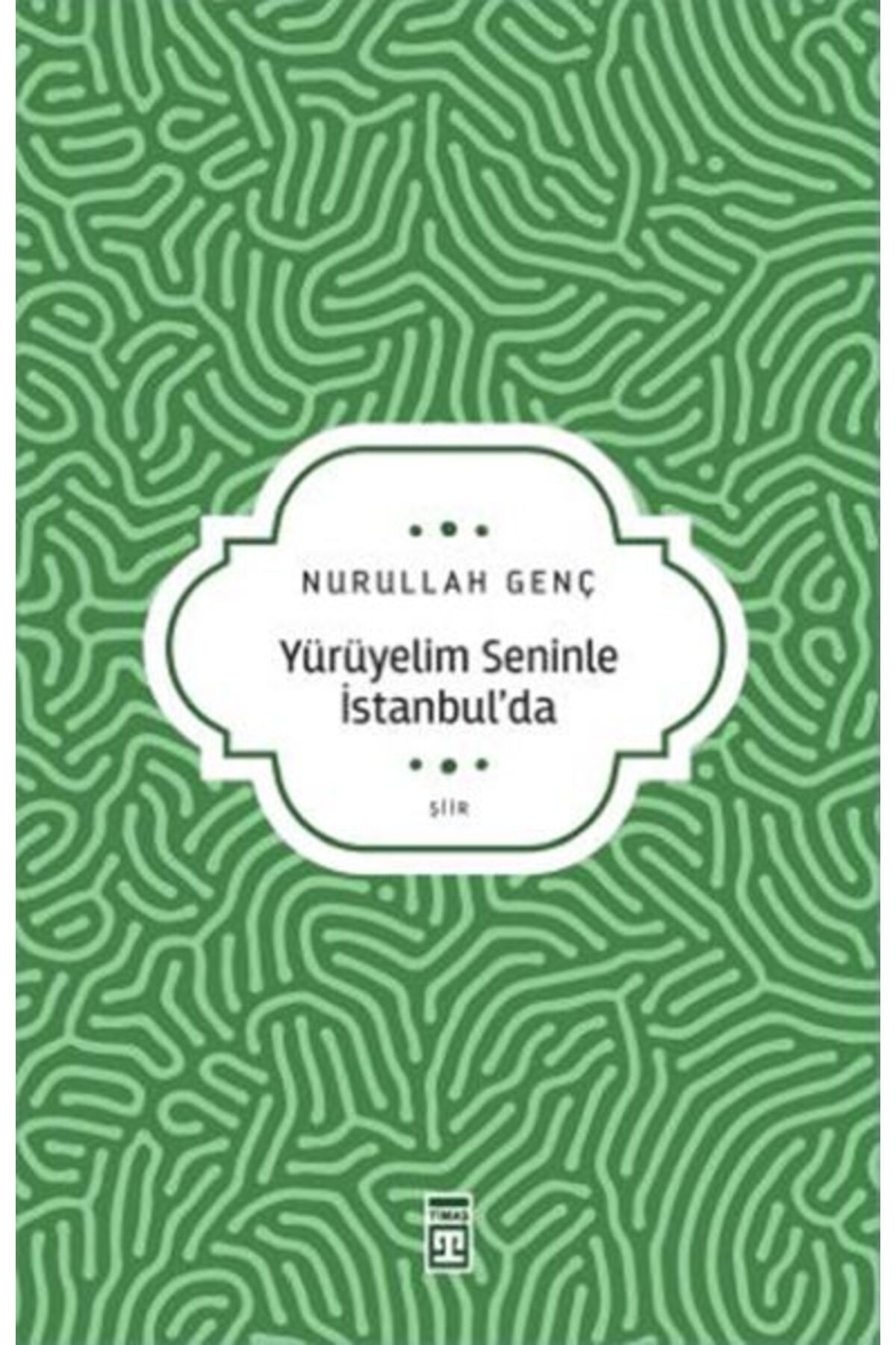 Timaş Yayınları Yürüyelim Seninle İstanbul’da